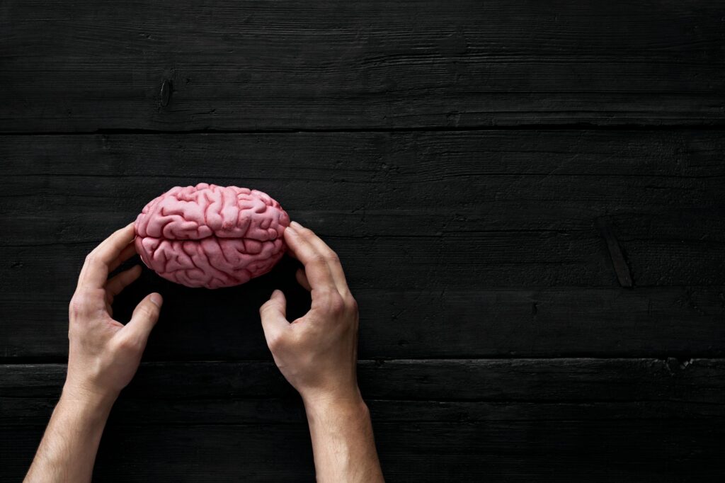 AI, Human hands touching brain